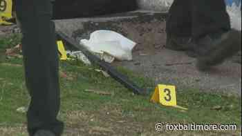 What grade would you give Baltimore Mayor Scott on his performance six months on the job? - Fox Baltimore