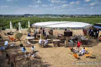 Zomerse terrassen: BarZ in Rijkel biedt bezoekers mooiste zonsondergang tussen de velden - Het Belang van Limburg