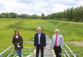 Wellen beter beschermd tegen wateroverlast dankzij nieuwe overstromingszone in Borgloon - Het Belang van Limburg
