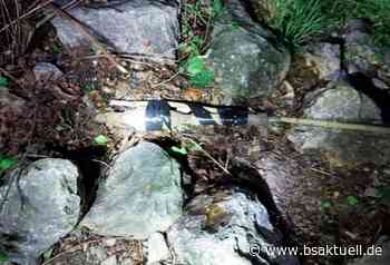 Augsburg: Lauter Knall nach Mitternacht – Granate kontrolliert gesprengt - BSAktuell