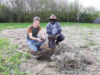 HERNE / GOOIK - Welkom in de Pluktuin! - Editiepajot