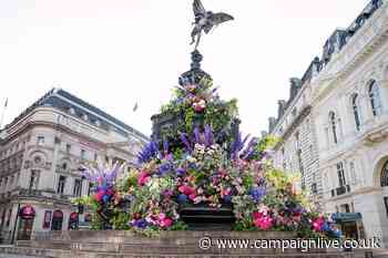 'Follow your instincts, even when logic says otherwise': behind the campaign 'We need more flowers'