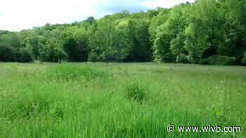 DEC buys 1,200 acres of land in Cattaraugus and Allegany counties