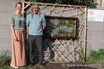 Fietstocht leidt langs kunstwerken in steegjes