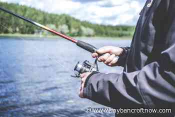 Families can fish for free in Ontario starting Saturday