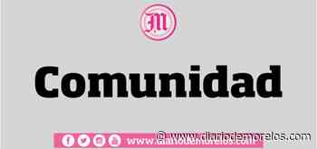 Dan tratamiento a árboles contra plagas en Jardín Juárez de Cuernavaca - Diario de Morelos