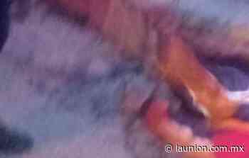 Herido de dos balazos tras resistirse a asalto, en Cuernavaca - Unión de Morelos