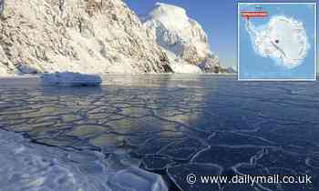 Temperatures in Antarctica hit record high, UN scientists confirm 