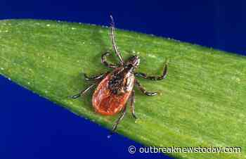 Rhode Island reports Powassan virus case from Providence County - Outbreak News Today - Outbreak News Today
