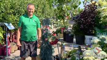 Gardening Tips: Preparing for the summer