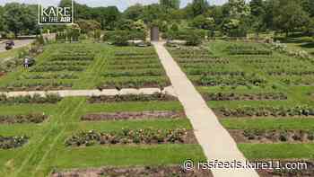 KARE in the Air: Lyndale Park Rose Garden
