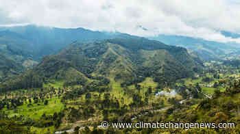 Flawed forest protection – Climate Weekly - Climate Home