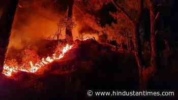Massive fire breaks out in forest at Jammu's Rajouri, firefighting ops on - Hindustan Times