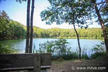 U.S. Forest Service reminds Fourth of July campers that fireworks aren’t allowed - MLive.com