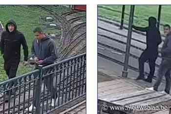 Politie zoekt vandalen van Stoomgroep in stadspark