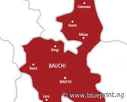 Re: A wake up call to Bauchi youths - Blueprint newspapers Limited