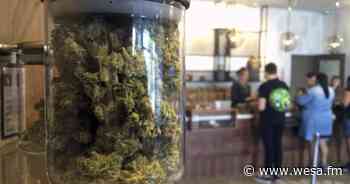 Wolf Enacts Laws Allowing For Three Month Supply Of Medical Marijuana - 90.5 WESA