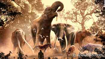 Why modern elephants survived ancient climate change when 180 other species didn't