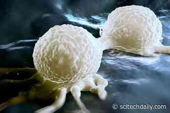 RNA-Binding Proteins: Molecular Targeted Therapy for Difficult-to-Treat Breast Cancer