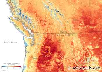 Monitoring the Devastating US-Canada Heatwave From Space