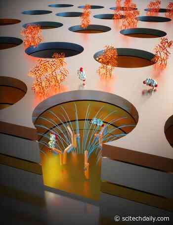 New Microchip Sensor Measures Stress Hormones in Real Time From Drop of Blood