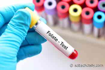 Folate Deficiency Demystified: Genetics of Why Some People May Be at a Greater Risk of Disease