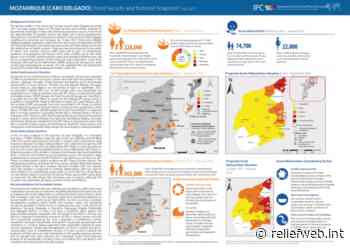 Mozambique [Cabo Delgado]: Food Security and Nutrition Snapshot l July 2021 - Mozambique - ReliefWeb