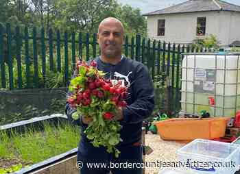 Chirk's Amer uses allotment to provide food for community - Border Counties Advertizer