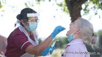 Coronavirus Ireland: 512 Covid-19 cases confirmed with 46 in hospital - Independent.ie