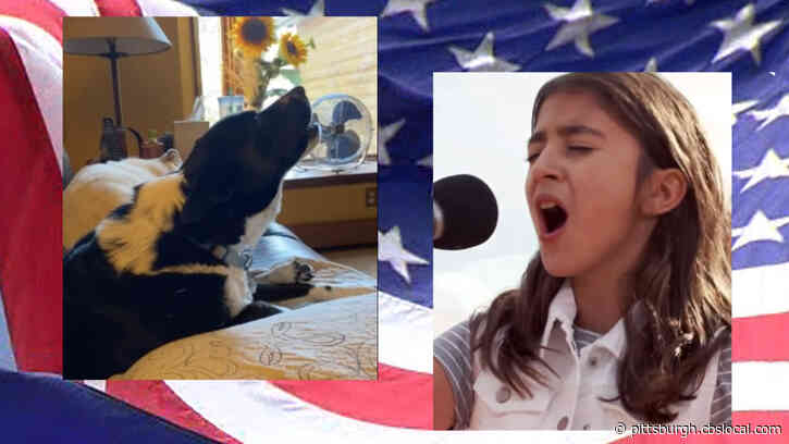 Must Watch: Dog Sings Along To National Anthem On CBS Morning Show