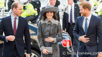 Kate Middleton ‘really wanted to attend’ the Princess Diana statue unveiling, didn’t for this reason: source