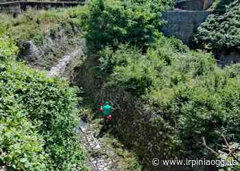 Solofra, terreni incolti e abbandonati: sanzioni e denunce per i proprietari | Irpiniaoggi.it - Irpiniaoggi.it