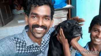 ‘In Re: Bruno’ — Kerala HC pays tribute to dog beaten to death, renames case after him - ThePrint