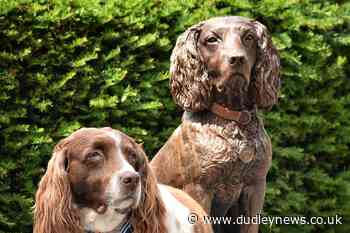 'Extraordinary' dog has statue erected in hometown of Keswick - Dudley News
