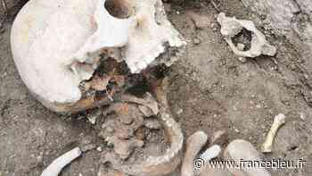 Alerte bon plan gratuit à Nice pour petits et grands, la visite des fouilles archéologiques Colline du Château - France Bleu
