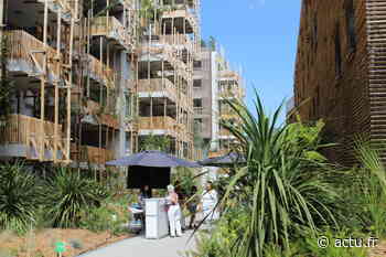 Nice. Découvrez le nouveau visage du quartier du Ray avec 350 nouveaux logements - actu.fr