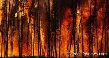 Town ravaged by wildfire after enduring Canada’s all-time hottest temps
