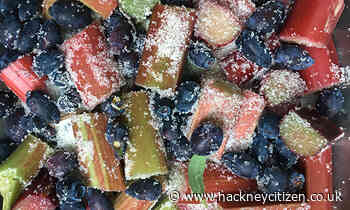 The Citizen Gardener: Strawberries aren’t the only summer fruit