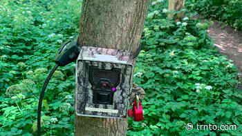 This mysterious camera in Toronto might have taken a photo of you - Post City
