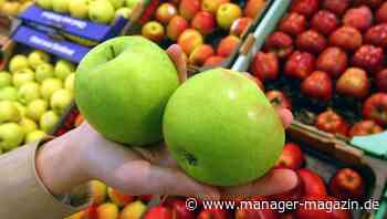 Online-Supermärkte kaum gefragt: Kunden bleiben ihrem Supermarkt treu