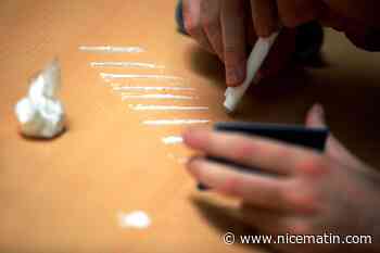 Il conduisait shooté à la cocaïne avec son pitbull à l'arrière, interpellation délicate à Monaco