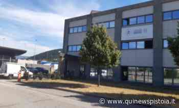 Per vivai e moda esportatori più che raddoppiati - Qui News Pistoia