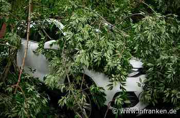 Burgebrach: 23-Jähriger rast mitten in der Nacht in fremden Garten