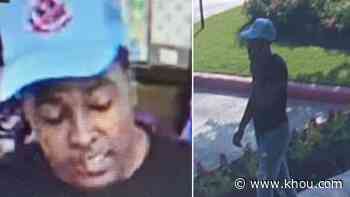 Deputies looking for Houston-area man who allegedly stole French bulldogs at gunpoint - KHOU.com