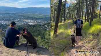 Sask. couple takes dog on 'epic adventure' before she loses her sight