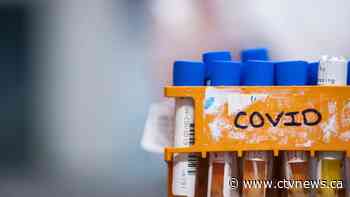 Afghanistan finds deadly fungal infection in COVID-19 patients - CTV News