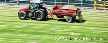 Nuova erba sintetica Il Sinigaglia cambia faccia - La Provincia di Como