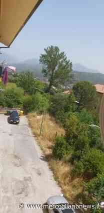 Erba alta e degrado tra le palazzine popolari di via Matteotti, protestano i residenti. FOTO - MercoglianoNews: Mercogliano in Rete