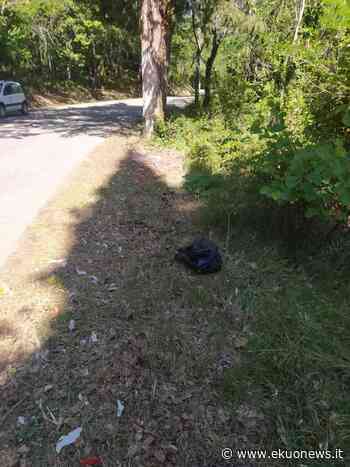 FOTO | Sfalcio erba e microdiscariche: la Provincia fa chiarezza, ma in un giorno vengono abbandonati nuovi rifiuti - ekuonews.it