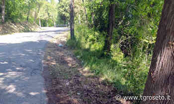 Teramo, taglio dell'erba sulle strade provinciali - Tg Roseto